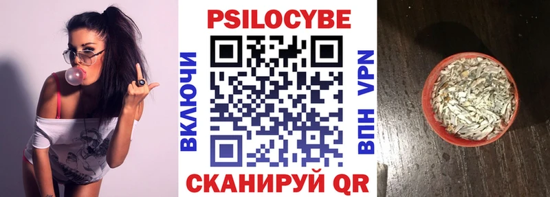 Галлюциногенные грибы Psilocybe  продажа наркотиков  Краснослободск 